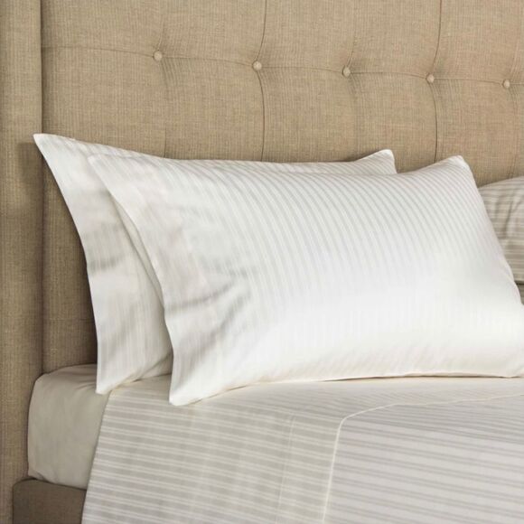 HC- Atlantic Euro Sham Ivory- 2 shams - Picture 1 of 4